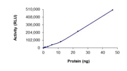 Sino Biological&nbsp;Recombinant Human MNK2/MKNK2 Protein (Full Length, GST Tag), Active