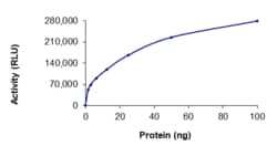 Sino Biological&nbsp;Recombinant Human MYLK2 Protein (Full Length, His Tag), Active