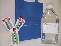 Rockland Immunochemicals&nbsp;1.0 M Tris HCl pH 7.6 - MB-003