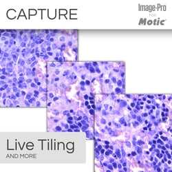 Motic AI Package: PA53BIO Trino Upright Microscope w/ Moticam S6 and Image-Pro