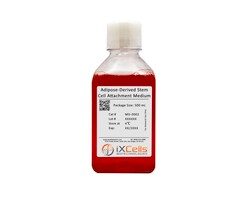 iXCells Biotechnologies AdiposeDerived Stem Cell Attac, Quantity: Each
