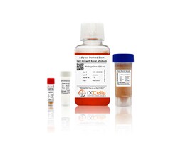 iXCells Biotechnologies AdiposeDerived Stem Cell Growt, Quantity: Each