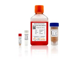 iXCells Biotechnologies AdiposeDerived Stem Cell Growt, Quantity: Each