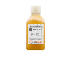 iXCells Biotechnologies Human Neural Stem Cell Growth, Quantity: Each of