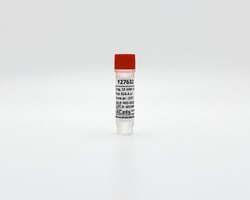 iXCells Biotechnologies Y27632 2mgdomestic 10mM in 624, Quantity: Each
