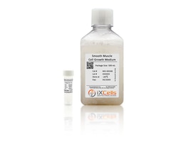 iXCells Biotechnologies&nbsp;Smooth Muscle Cell Growth Medi