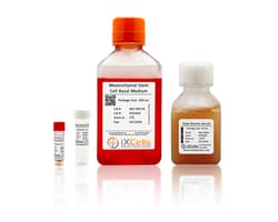 iXCells Biotechnologies Mesenchymal Stem Cell Medium50, Quantity: Each