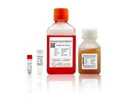 iXCells Biotechnologies Astrocyte MediumPackage Size50