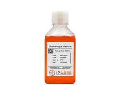 iXCells Biotechnologies Chondrocyte Medium500 mL, Quantity: Each of 1