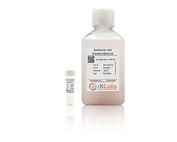 iXCells Biotechnologies&nbsp;Epithelial Cell Growth Medium5