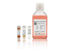 iXCells Biotechnologies Melanocyte Growth Medium500ml