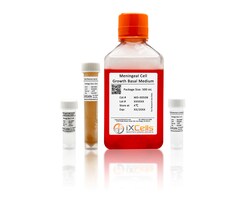 iXCells Biotechnologies&nbsp;Meningeal cell media500ml