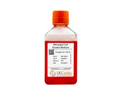 iXCells Biotechnologies Mesangial Cell Growth Medium50, Quantity: Each