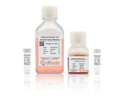 iXCells Biotechnologies&nbsp;Skeletal Muscle Cell Growth Me