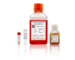iXCells Biotechnologies&nbsp;Schwann Cell Growth Medium500m