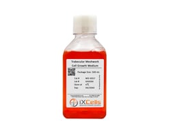 iXCells Biotechnologies&nbsp;Trabecular Meshwork Cell Growt