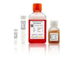 iXCells Biotechnologies Trophoblast Growth Medium500ml