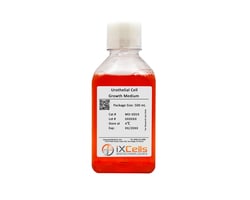 iXCells Biotechnologies&nbsp;Urothelial Cell Growth Medium5