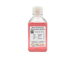 iXCells Biotechnologies Mouse Keratinocyte Differentia, Quantity: Each