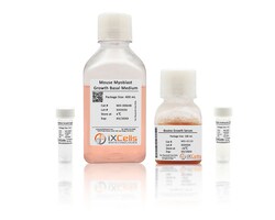iXCells Biotechnologies Mouse Skeletal Muscle Myoblast, Quantity: Each