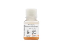 iXCells Biotechnologies Cortical Neuron Maintenance Me