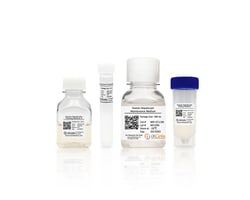 iXCells Biotechnologies&nbsp;Human Hepatocyte Thawing Mediu