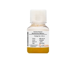 iXCells Biotechnologies Human Sensory Neuron Maintenan, Quantity: Each