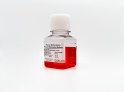 iXCells Biotechnologies&nbsp;Human Glutamatergic Neuron Mat