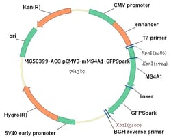 Sino Biological Mouse, CD20 cDNA ORF Clone, C-GFPSpark tag, Quantity: Each