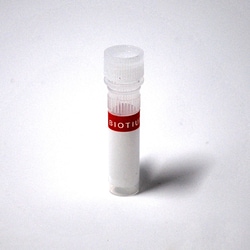 Biotium AccuClear dsDNA Standard, 25 ng/uL