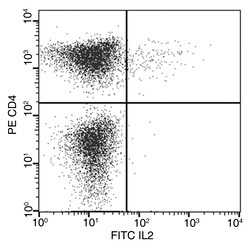 Sino Biological IL2 Antibody (FITC), Rabbit MAb 25Tests, Quantity: Each