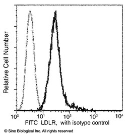 Sino Biological LDLR / LDL Receptor Antibody (FITC), Rabbit MAb 100Tests,