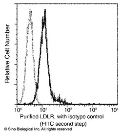 Sino Biological LDLR / LDL Receptor Antibody, Rabbit MAb 100uL, Quantity: