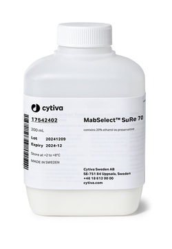 Cytiva&nbsp;MabSelect&trade; SuRe 70 Protein A Resin