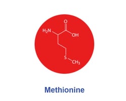 L-Methionine USP/EP/JP/FCC, Ajinomoto