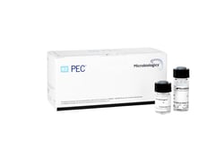 Microbiologics&trade; Aspergillus brasiliensis ATCC&trade; 16404&trade; Kit&dagger;