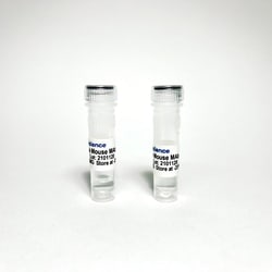 TRIBIOSCIENCE INC Melatonin Monoclonal Antibody, 1MG, Quantity: Each of