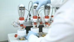 Heidolph&trade;&nbsp;Mya 4 Reaction Station