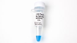 New England Biolabs, Inc. 1 kb Plus DNA Ladder for Safe Stains – 1.25 ml