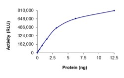 Sino Biological&nbsp;Recombinant Human TrkA Protein (GST Tag), Active
