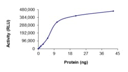 Sino Biological&nbsp;Recombinant Human NUAK1 Protein (Full Length, GST Tag), Active