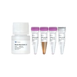 VAZYME INTERNATIONAL LLC&nbsp;mRNA Capture Beads