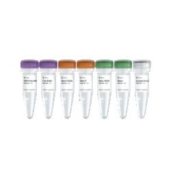 VAZYME INTERNATIONAL LLC&nbsp;Ribo-off rRNA Depletion Kit