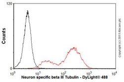Abcam Mouse monoclonal [2G10] to beta III Tubulin - Neuronal Marker, Quantity: