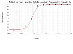 Abcam Rabbit Anti-Armenian hamster IgG H&L (HRP), Quantity: Each of 1