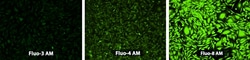 Aat Bioquest Fluo-8, AM | 1mg, Quantity: Each of 1