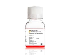 STEMCELL Technologies Collagenase Type IV (1 mg/mL), Size: 100 mL, Quantity: