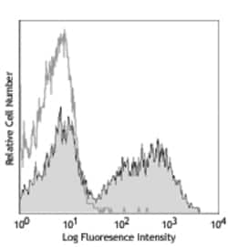 Biolegend PE/Cyanine7 anti-mouse/human CD11b, Quantity: Each of 1