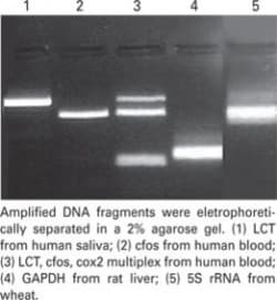 Molecular Research Center&nbsp;DNAZOL DIRECT