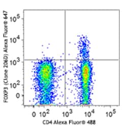 Biolegend Alexa Fluor 647 anti-human FOXP3, Quantity: Each of 1